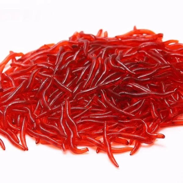 100 Minhocas Artificiais 3,5cm Tilápia Pacu Bagre Carpa Premium Cor Vermelho